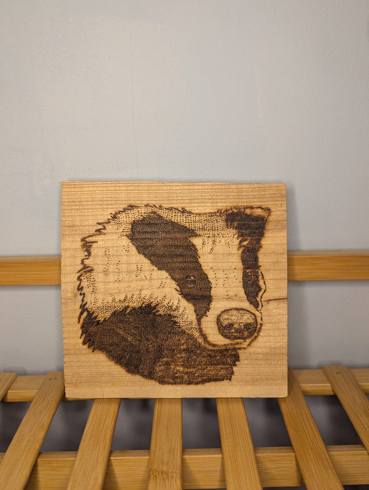 Badger Portrait