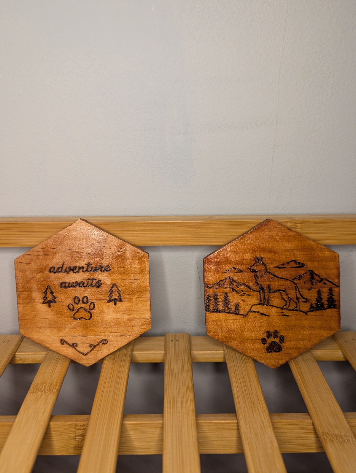 Adventure Awaits — Hand-Burned Hexagonal Coaster Set