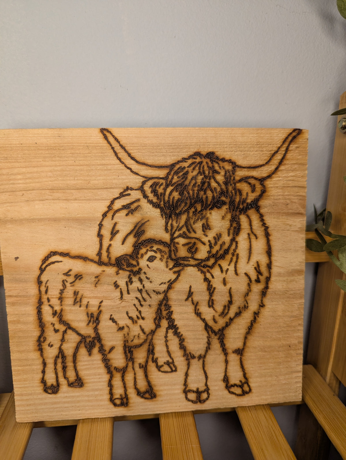 Highland Cow & Calf