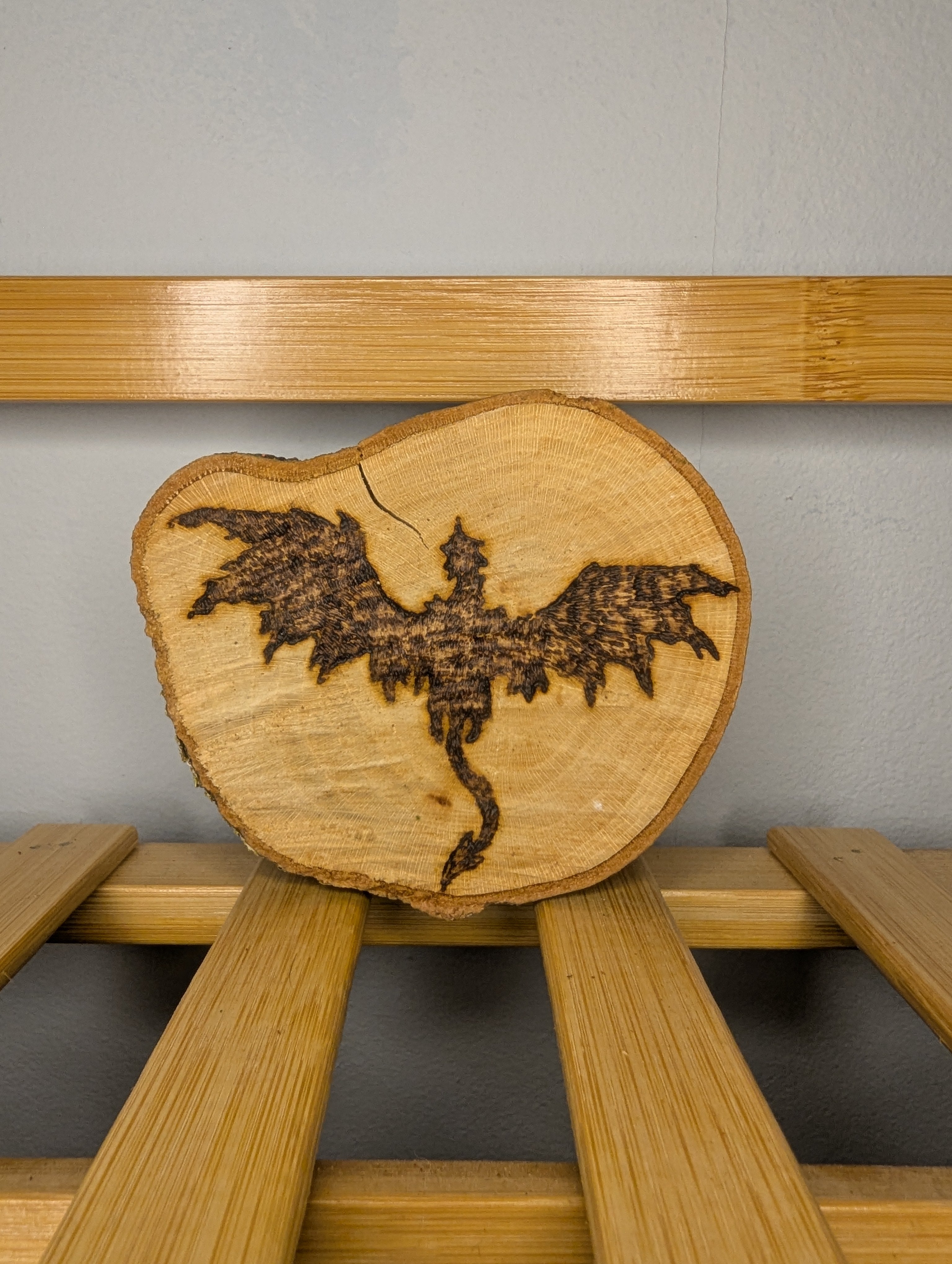 Dragon in Flight