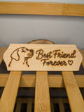 Best Friend Forever Plaque