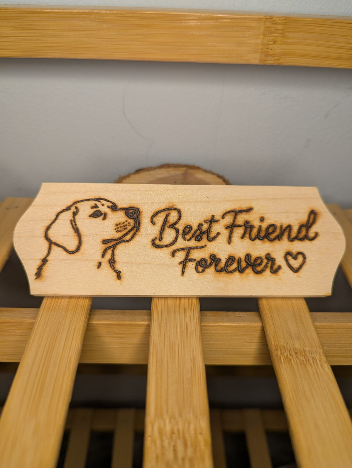 Best Friend Forever Plaque
