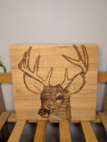 Stag Portrait